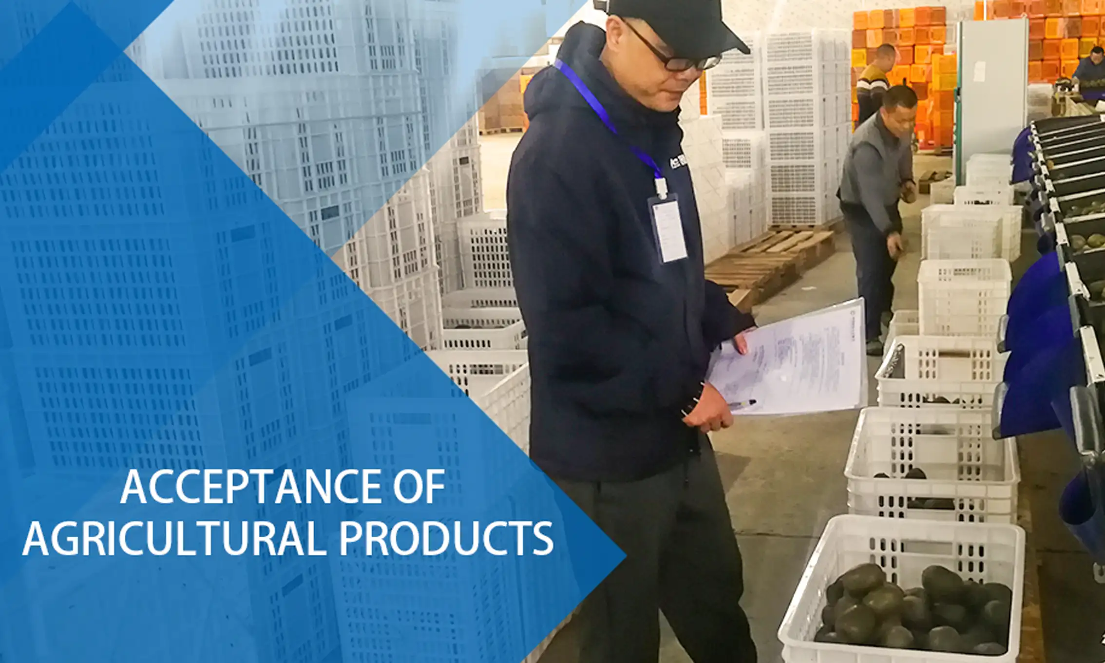 Agriculture Products