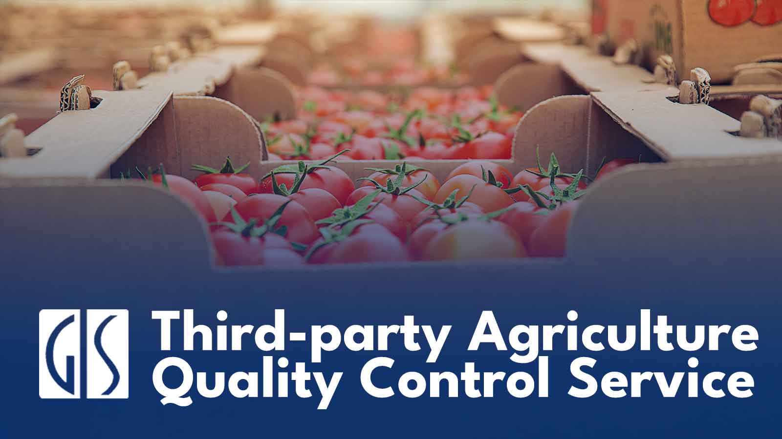 Agriculture-Products-Quality-Control-Inspection-1