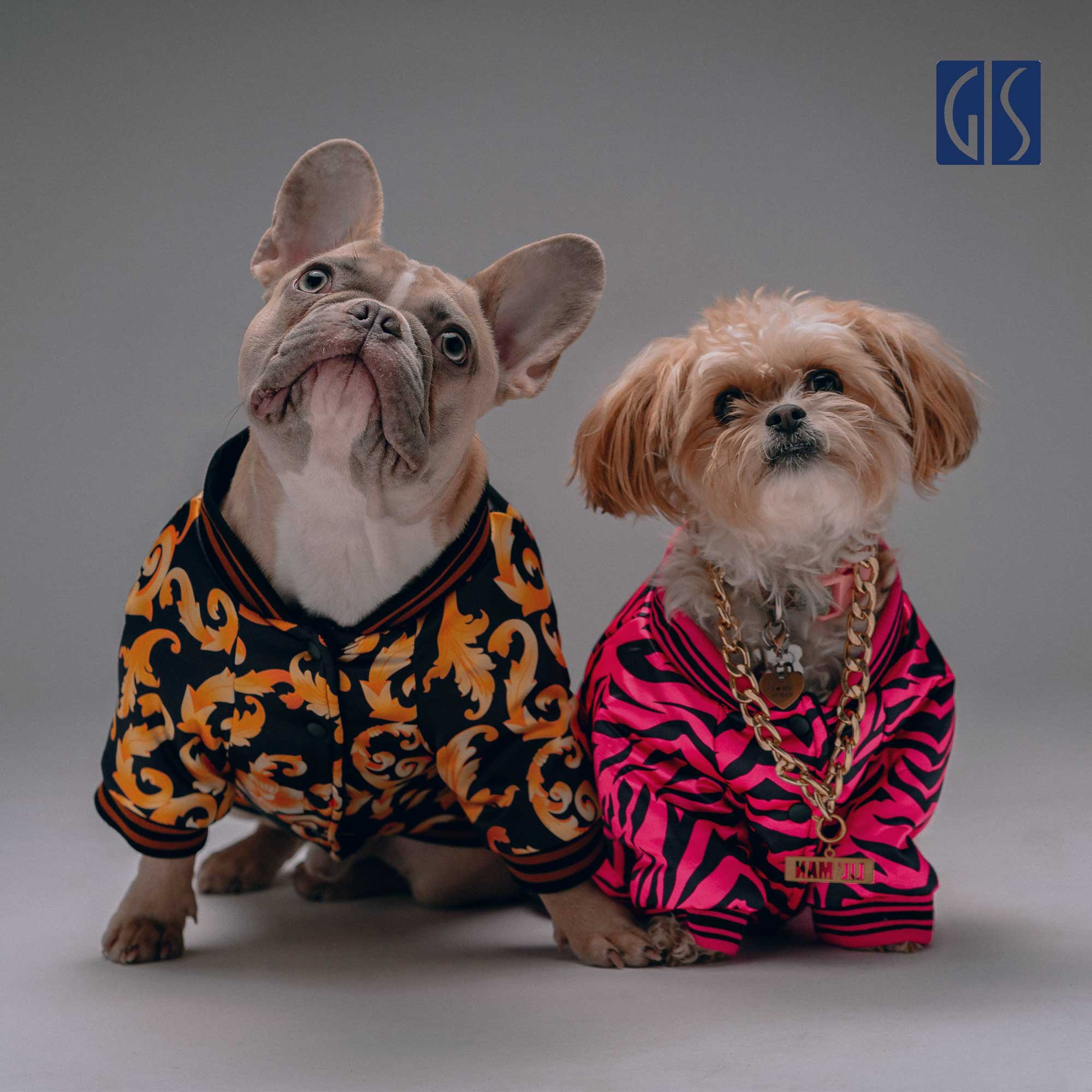Pet-Products-Quality-Inspection