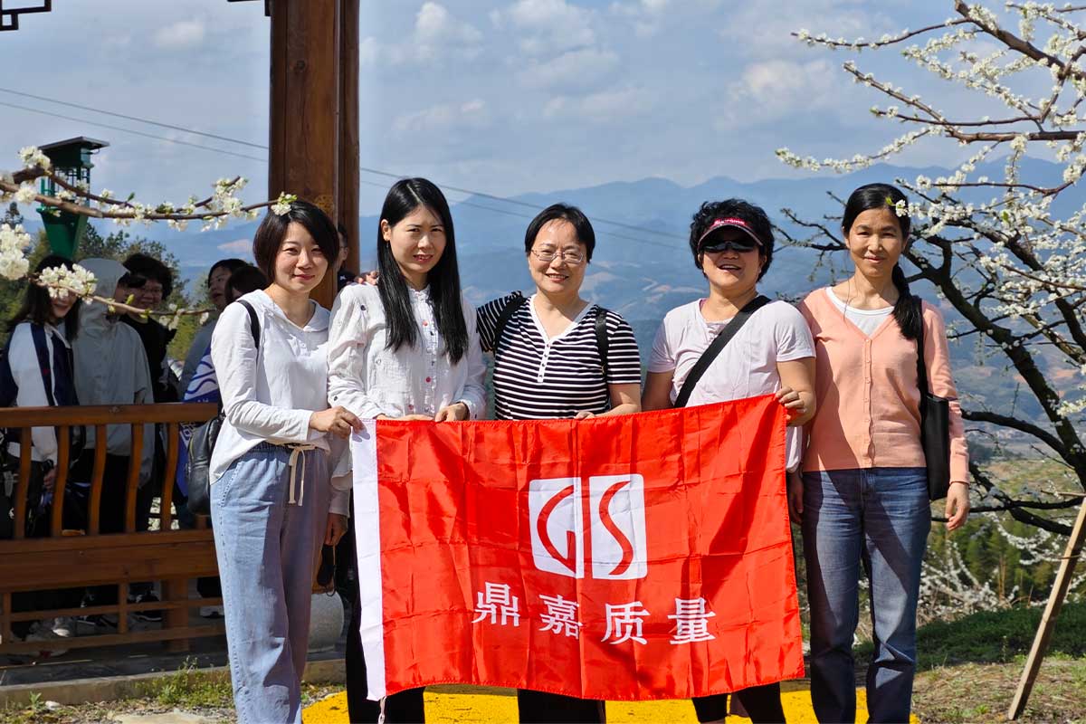 gis team
