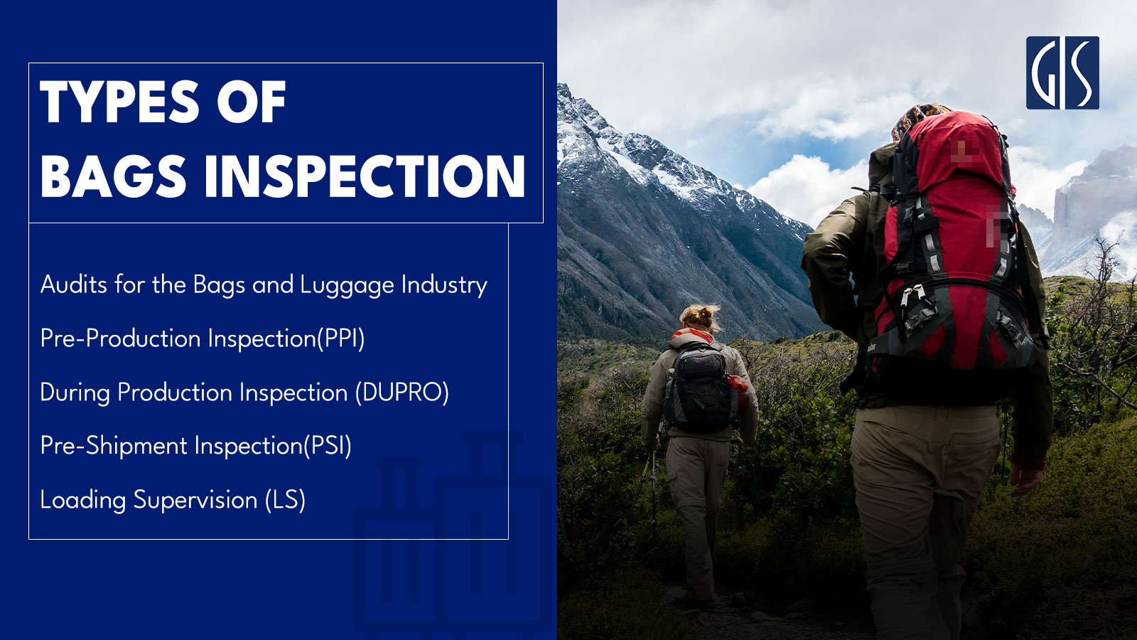 types of bags inspection