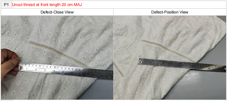 GIS Pre-shipmeng inspection for apparel in india
