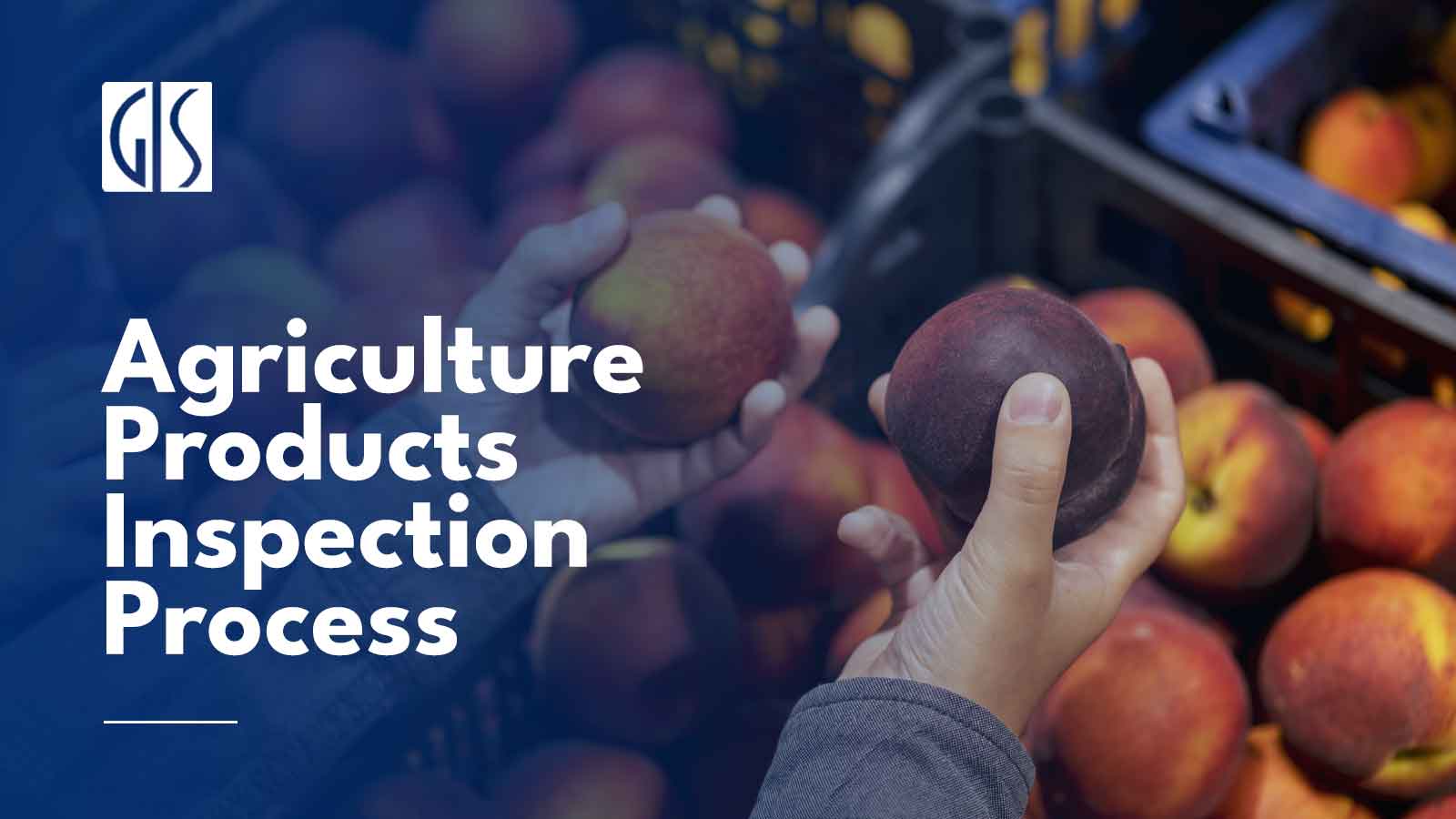 Agriculture-Products-Inspection-Service-Process