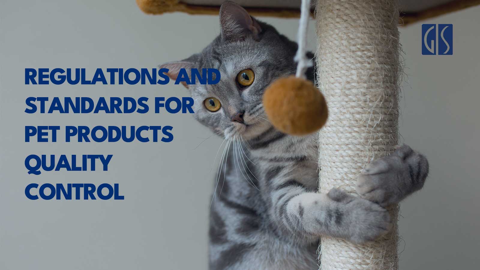 Regulations-and-Standards-for-Pet-Products-Quality-Control