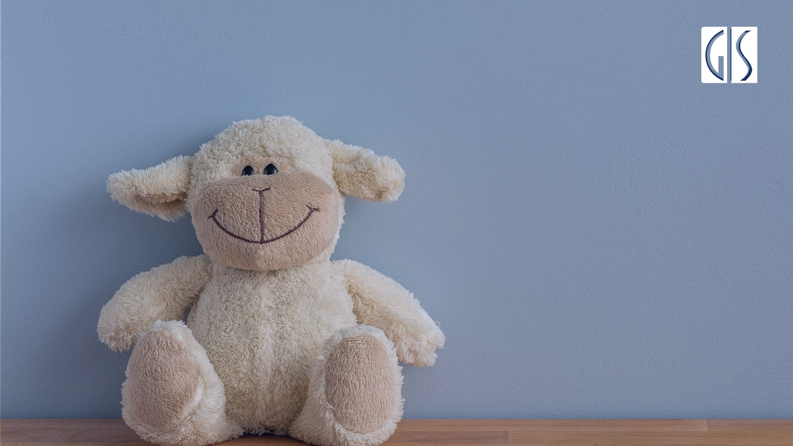 出口日本检品公司-GIS鼎嘉质量