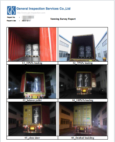 GIS Container Loading Inspection report