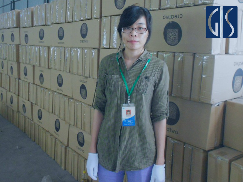 GIS鼎嘉质量验货公司验货服务人员