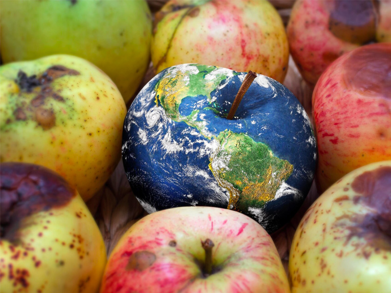水果缺陷检测标准- GIS鼎嘉质量水果验货